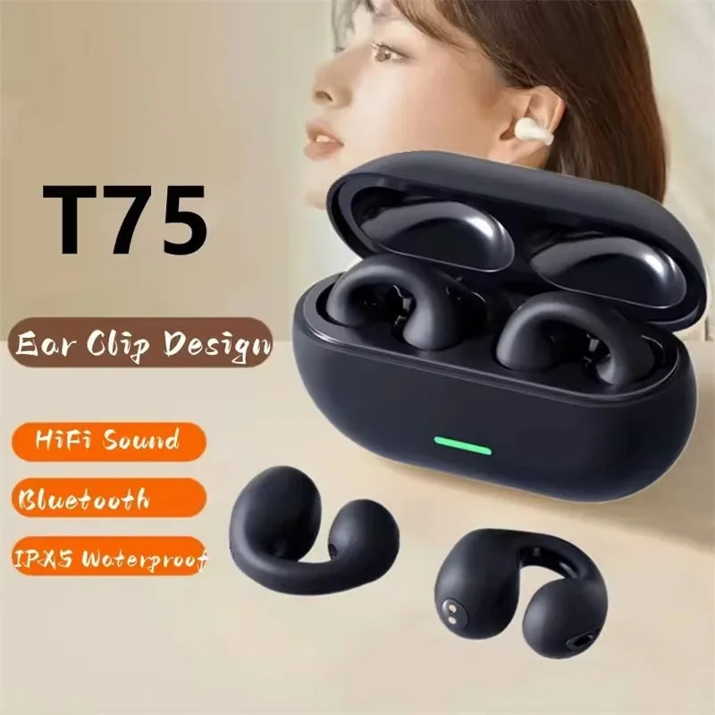 T75 TWS Wireless Earbuds